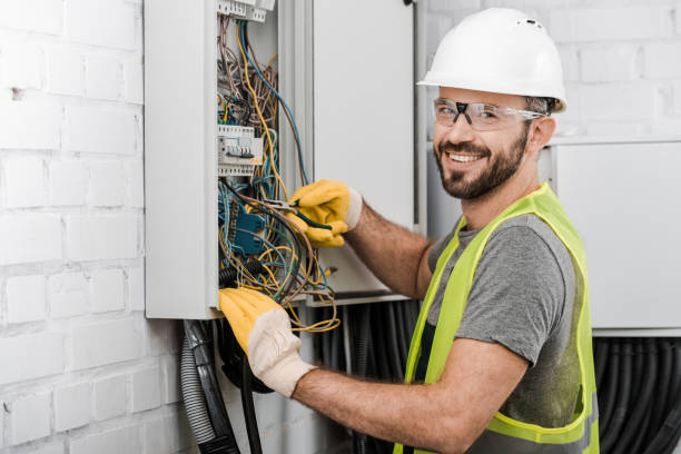 Best Electrical System Inspection  in Adel, IA