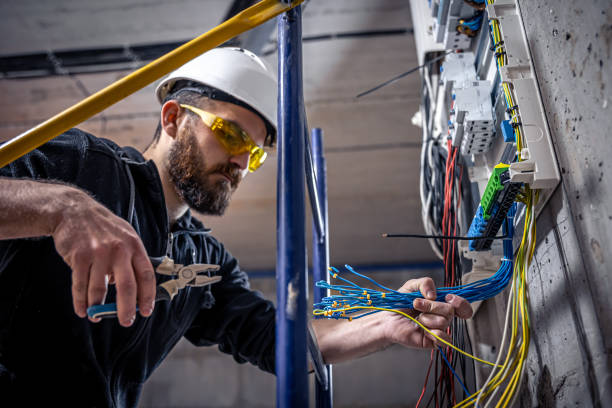 Best Electric Panel Repair  in Adel, IA